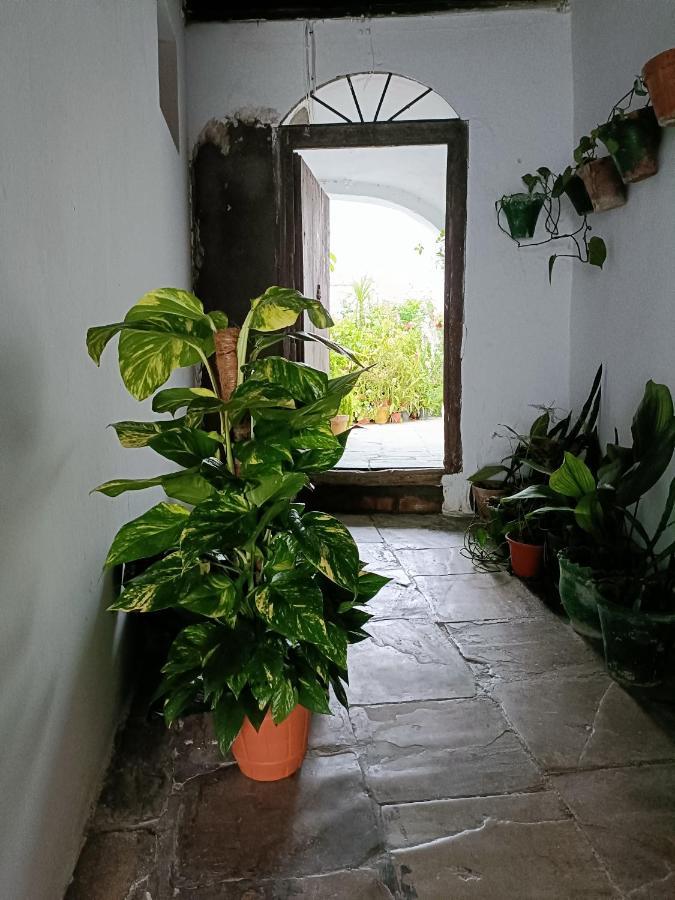 Casa Amalfi, Coqueta Casa Centro Historico De Vejer Apartment Vejer de la Frontera Luaran gambar