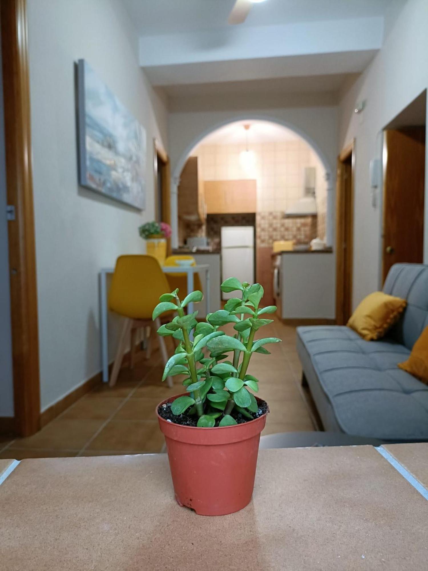 Casa Amalfi, Coqueta Casa Centro Historico De Vejer Apartment Vejer de la Frontera Luaran gambar